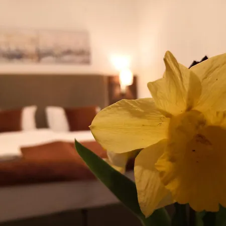 Laguna Panzio Bed and Breakfast