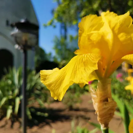 Laguna Panzio Bed & Breakfast Gárdony