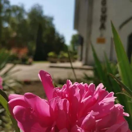 ベッド・アンド・ブレックファスト Laguna Panzio Gárdony