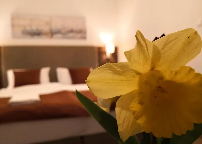 Laguna Panzio Bed & Breakfast