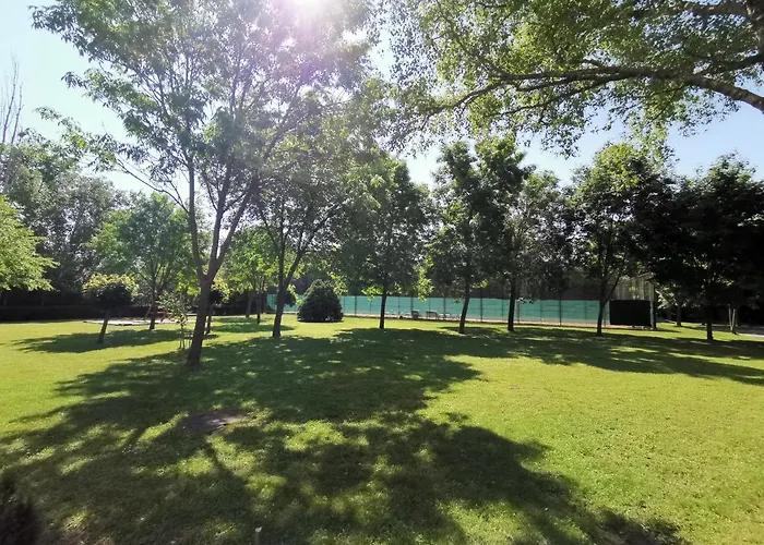 לינה וארוחת בוקר Laguna Panzio 3*