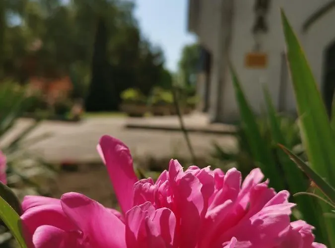 לינה וארוחת בוקר Laguna Panzio Gárdony